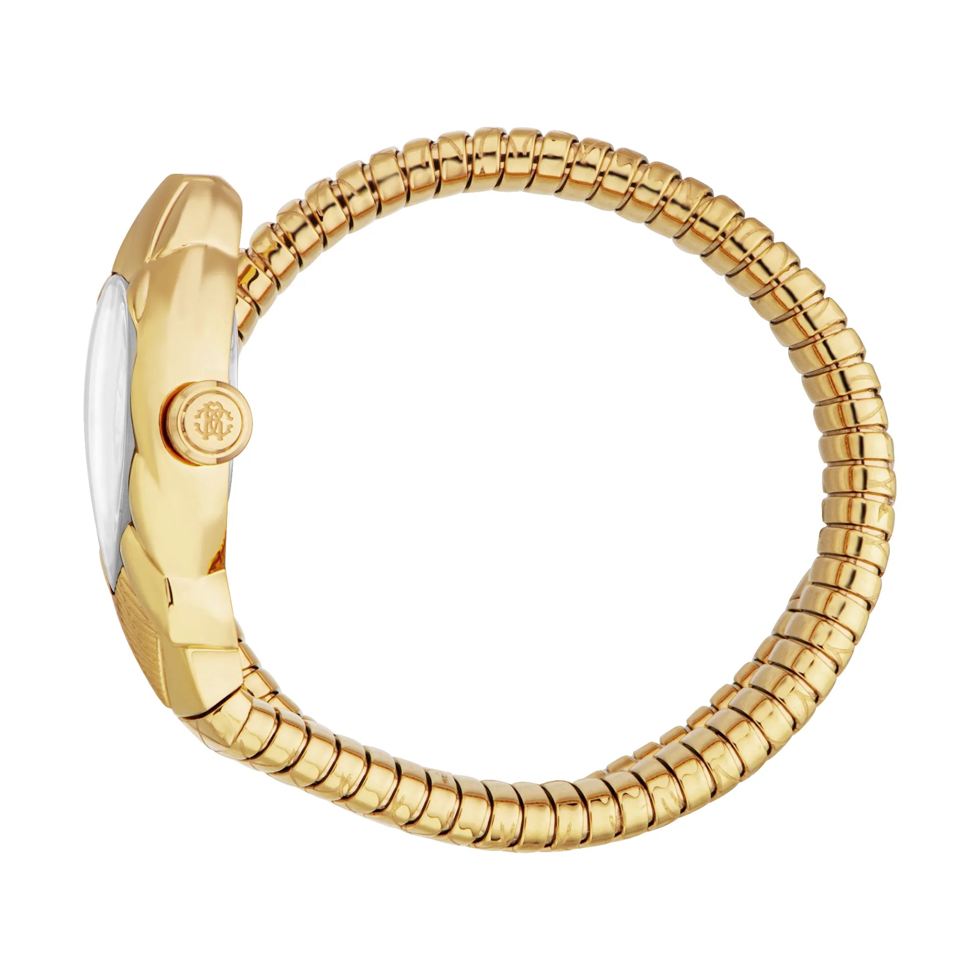 Roberto Cavalli Roberto Cavalli Lady RC5L110M0035 — immagine 3